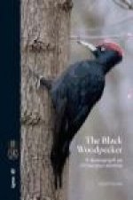 The Black Woodpecker : a monograph on Dryocopus martius