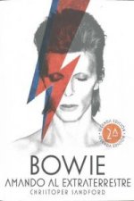 Bowie : amando al extraterrestre