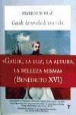 Gaudí, la novela de una vida