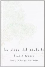 La plaza del azufaifo