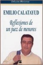 Emilio Calatayud : reflexiones de un juez de menores