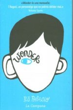 Wonder