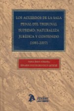 Acuerdos de la sala penal del Tribunal Supremo : naturaleza jurídica y contenido (1991-2007)