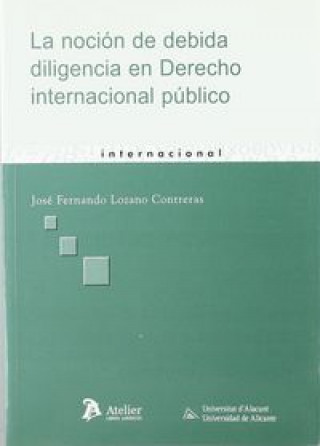 Noción de debida diligencia en derecho internacional público