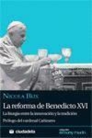 La reforma de Benedicto XVI : la liturgia entre la innovación y la tradición