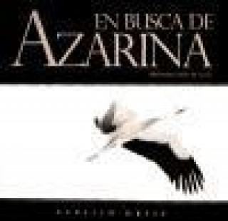 En busca de Azarina