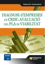 Diagnosi d'empreses en crisi i avaluació del pla de viabilitat : elaboració i interpretació