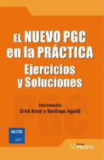 El nuevo PGC en la práctica : ejercicios y soluciones