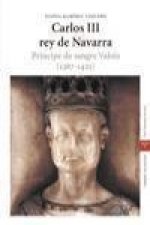 Carlos III rey de Navarra : príncipe de sangre Valois (1387-1425)