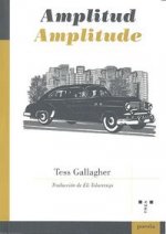 Amplitude