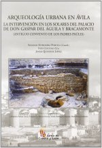Arqueología urbana en Ávila : la intervención en los solares del palacio de don Gaspar del Águila y Bracamonte (antiguo convento de los padres Paúles)