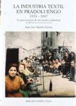 La industria textil de Pradoluengo (1534-2007) : la pervivencia de un núcleo industrial