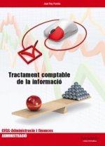 Tractament comptable de la informació