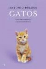 Estuche gatos : gatos sin frontera y alegatos de los gatos