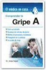 Comprender la gripe A : cómo se transmite, reconocer los síntomas, medidas de prevención, propagación y los grupos de riesgo