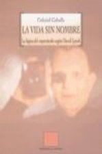 La vida sin nombre : la lógica del espectáculo según David Linch