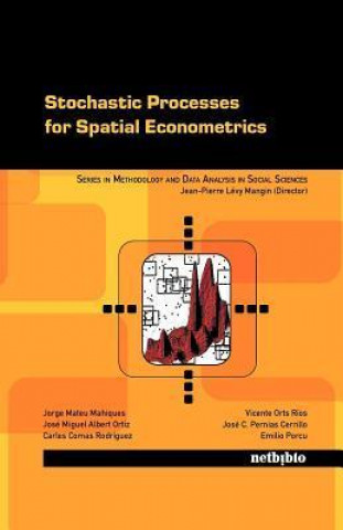 Stochastic Processes for Spatial Econometrics