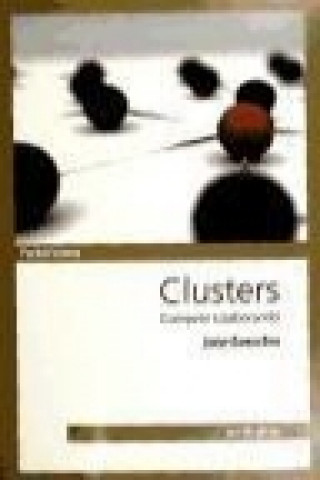 Clusters : competir colaborando