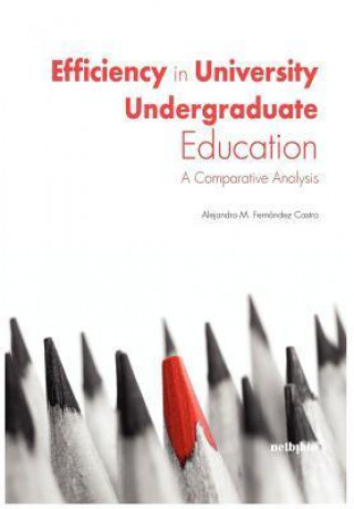 Efficieny in University Undergraduate Education