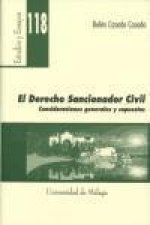 El derecho sancionador civil : consideraciones generales y supuestos