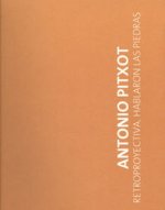 Antonio Pitxot, Retroproyectiva : hablaron las piedras