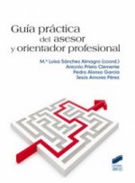 Guía práctica del asesor y orientador profesional