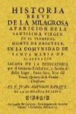 Historia breve de la milagrosa aparición de la Virgen en el Tremedal