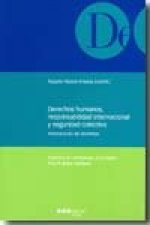 Derechos humanos, responsabilidad internacional y seguridad colectiva : intersección de sistemas