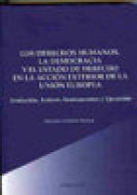 Los derechos humanos, la democracia y el estado de derecho en la acción exterior de la Unión Europea : evolución, actores, instrumentos y ejecución