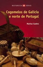 Cogomelos de Galicia e norte de Portugal