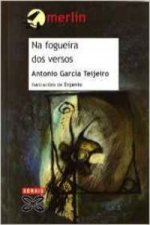 Na fogueira dos versos