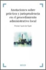 Anotaciones sobre práctica y jurisprudencia en el Procedimiento Administrativo Local