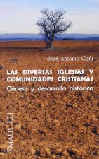 Las diversas iglesias y comunidades cristianas : génesis y desarrollo histórico