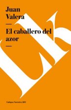 El caballero del azor