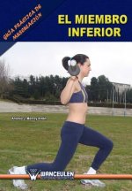 Guía práctica de musculación : el miembro inferior
