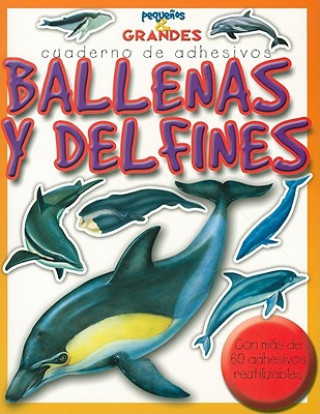 Ballenas y Delfines = Whales and Dolphins