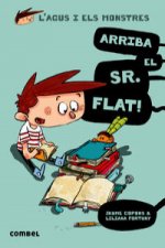 Arriba el Sr. Flat!