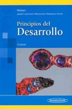 Principios del desarrollo