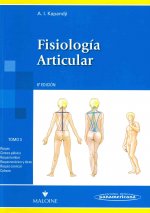 Raquis, cintura pélvica, raquis lumbar, raquis torácico y tírax, raquis cervical, cabeza