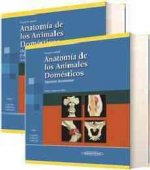 Anatomía de los animales domésticos : aparato locomotor