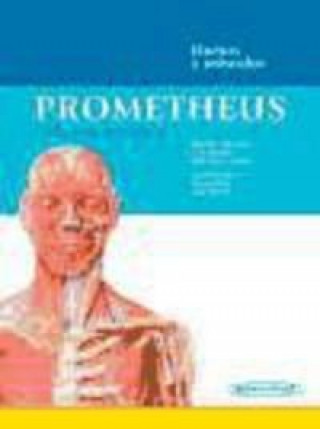 Prometheus. Póster de Anatomía: Huesos y músculos