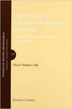 La protección judicial de los derechos fundamentales de solidaridad : derechos sociales, medio ambiente y consumidores