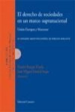 El derecho de sociedades en un marco supranacional : Unión Europea y Mercosur