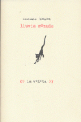 Lluvia menuda