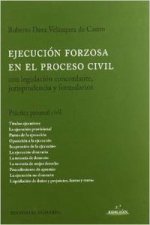 La ejecución forzosa en el proceso civil