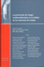 La prevención de los riesgos medioambientales en el ámbito de las relaciones de trabajo