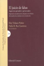 El juicio de faltas : aspectos penales y procesales