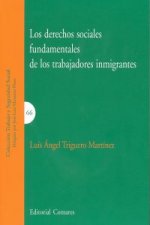 Los derechos sociales fundamentales de los trabajadores inmigrantes