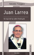 Juan Larrea : un rayo de luz sobre fondo gris