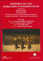 Siglo XIX : el derecho positivo de los derechos humanos : derechos humanos y comunidad internacional